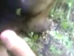 Zoo Sex Run