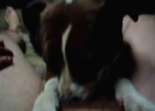 BJ session with a really kinky beast in HD