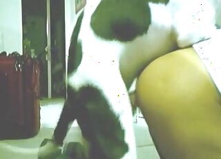 Canine screwed her tight opening so quick