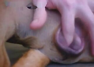 Horned-up chap gets to finger that tight hole