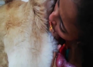 Lady is going to jerk a dog's dick after teasing