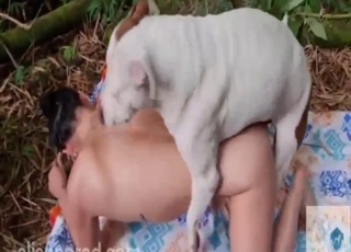 Zoo porn with a brunette who loves anal with dogs