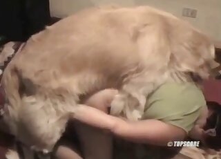 Masked zoophile blows a huge penis on a horny doggy