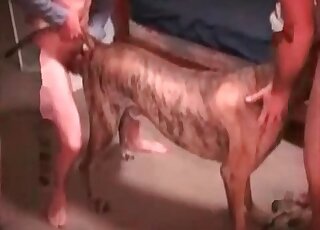 Awesome spit-roasting session with a doggo