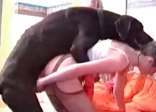 Passionate bestiality to blow your mind