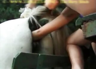 Mare pussy getting fisted by a really kinky stud